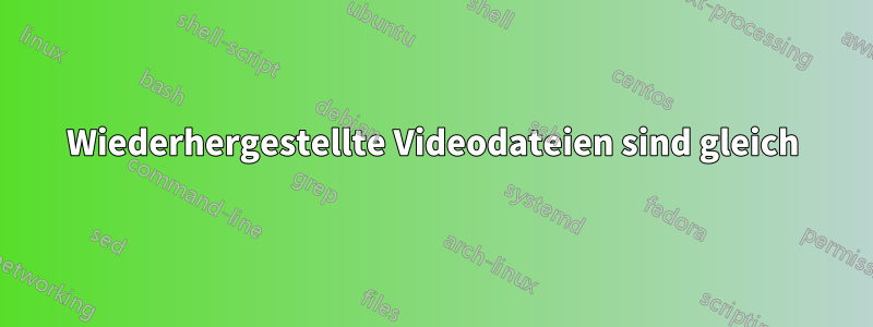 Wiederhergestellte Videodateien sind gleich
