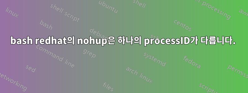 bash redhat의 nohup은 하나의 processID가 다릅니다.