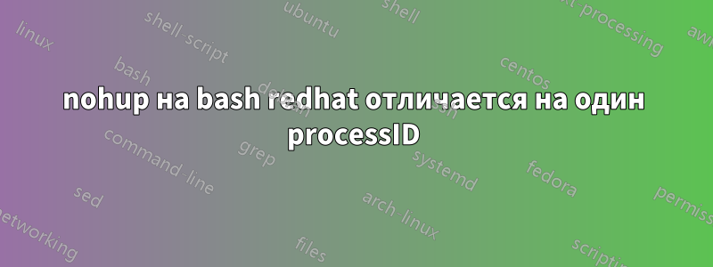 nohup на bash redhat отличается на один processID