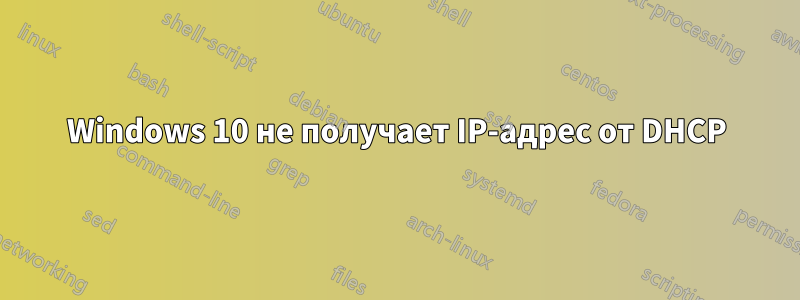 Windows 10 не получает IP-адрес от DHCP