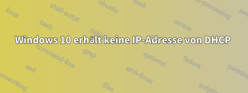 Windows 10 erhält keine IP-Adresse von DHCP