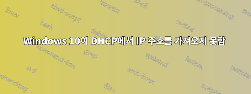 Windows 10이 DHCP에서 IP 주소를 가져오지 못함