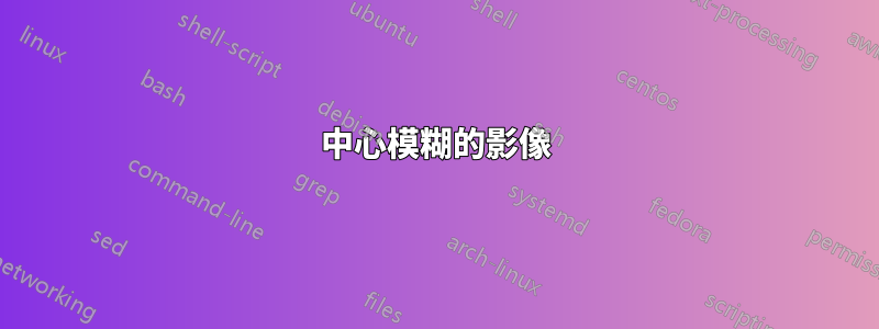 中心模糊的影像