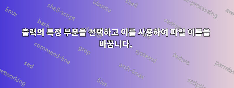 출력의 특정 부분을 선택하고 이를 사용하여 파일 이름을 바꿉니다.