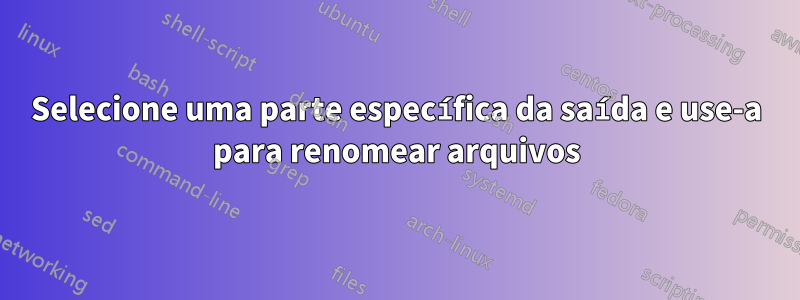 Selecione uma parte específica da saída e use-a para renomear arquivos