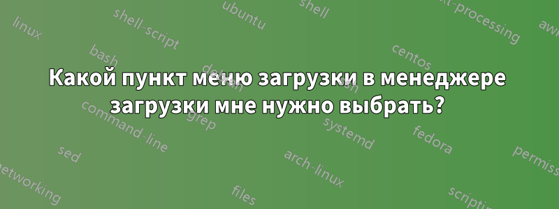 Какой пункт меню загрузки в менеджере загрузки мне нужно выбрать?