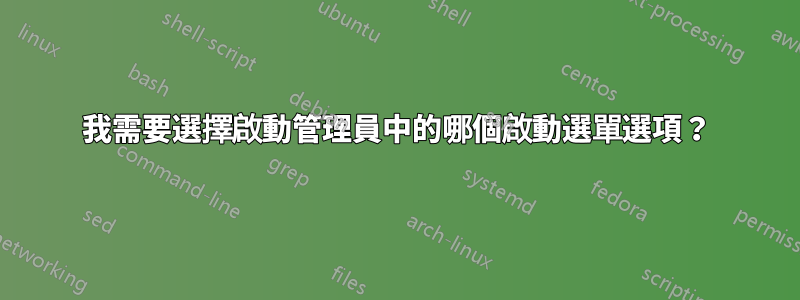 我需要選擇啟動管理員中的哪個啟動選單選項？