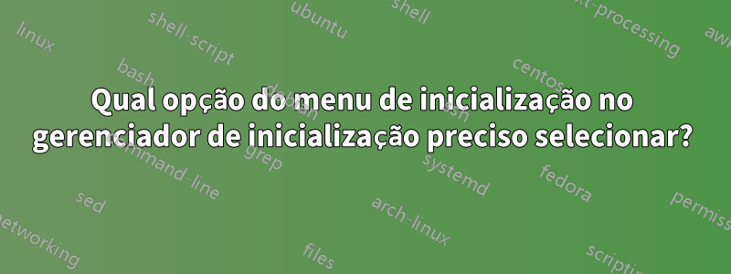 Qual opção do menu de inicialização no gerenciador de inicialização preciso selecionar?