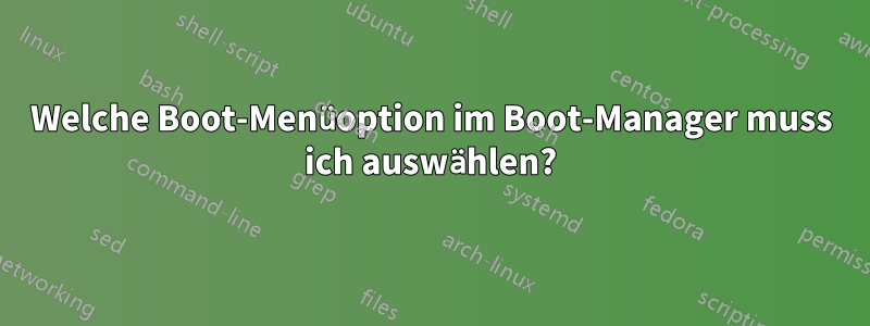 Welche Boot-Menüoption im Boot-Manager muss ich auswählen?