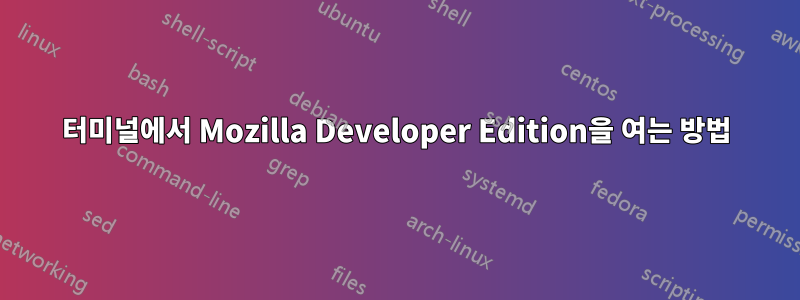 터미널에서 Mozilla Developer Edition을 여는 방법