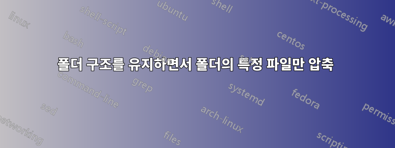 폴더 구조를 유지하면서 폴더의 특정 파일만 압축