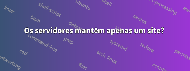 Os servidores mantêm apenas um site?