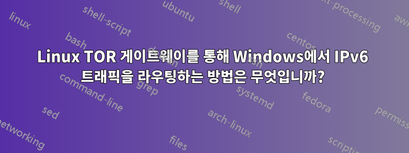 Linux TOR 게이트웨이를 통해 Windows에서 IPv6 트래픽을 라우팅하는 방법은 무엇입니까?