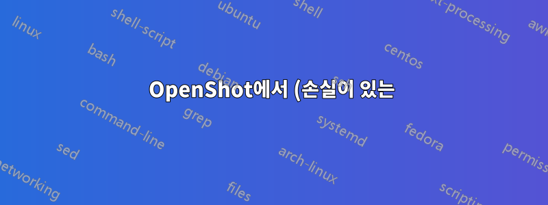 OpenShot에서 (손실이 있는) 비디오의 시작과 끝을 클리핑할 때 대규모 아티팩트가 발생합니다.