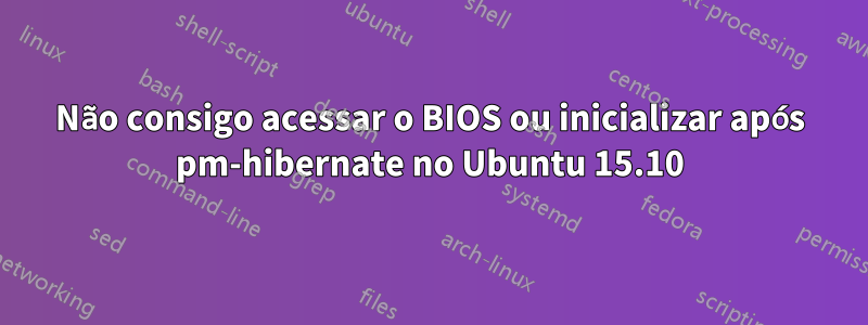 Não consigo acessar o BIOS ou inicializar após pm-hibernate no Ubuntu 15.10