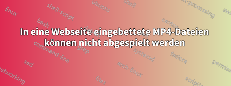 In eine Webseite eingebettete MP4-Dateien können nicht abgespielt werden