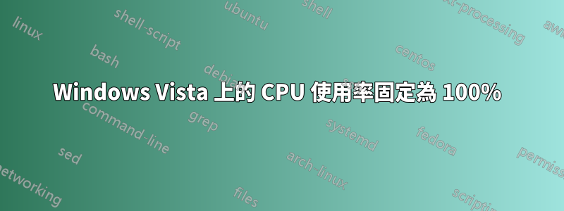 Windows Vista 上的 CPU 使用率固定為 100% 