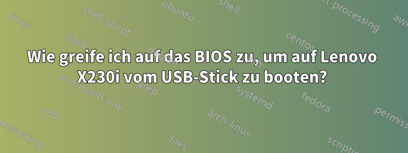 Wie greife ich auf das BIOS zu, um auf Lenovo X230i vom USB-Stick zu booten?