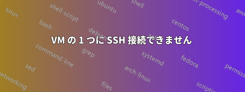 VM の 1 つに SSH 接続できません