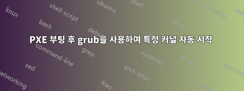 PXE 부팅 후 grub을 사용하여 특정 커널 자동 시작