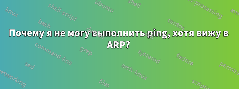 Почему я не могу выполнить ping, хотя вижу в ARP?