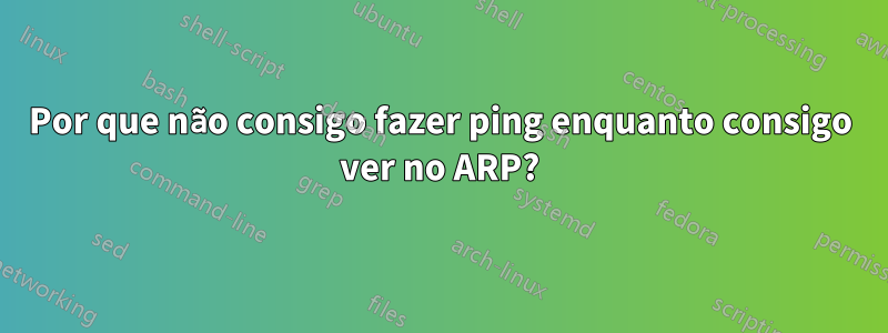 Por que não consigo fazer ping enquanto consigo ver no ARP?