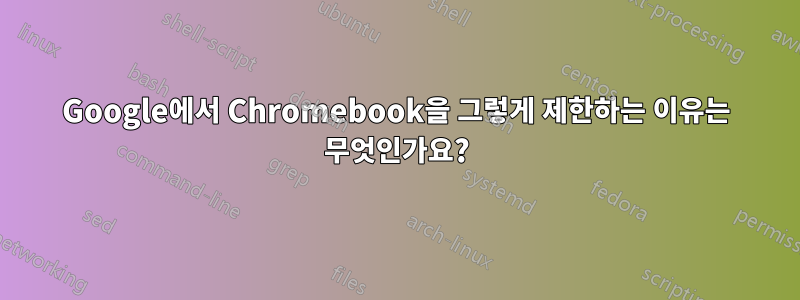 Google에서 Chromebook을 그렇게 제한하는 이유는 무엇인가요?