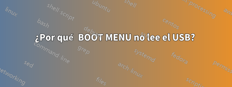 ¿Por qué BOOT MENU no lee el USB?