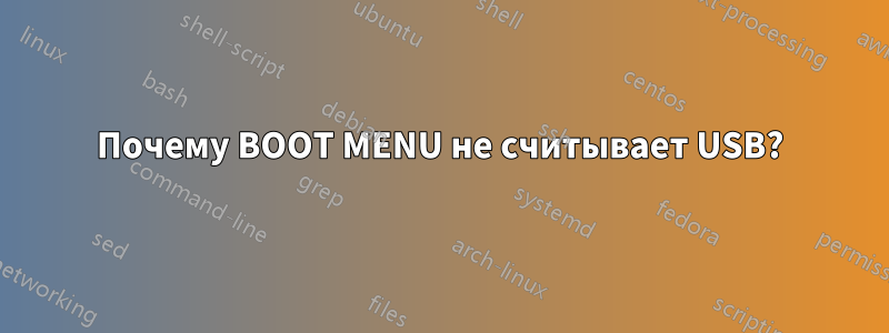 Почему BOOT MENU не считывает USB?