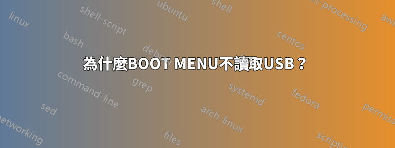 為什麼BOOT MENU不讀取USB？