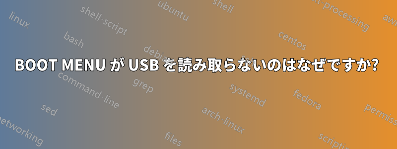 BOOT MENU が USB を読み取らないのはなぜですか?