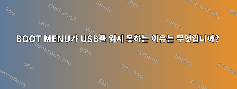 BOOT MENU가 USB를 읽지 못하는 이유는 무엇입니까?