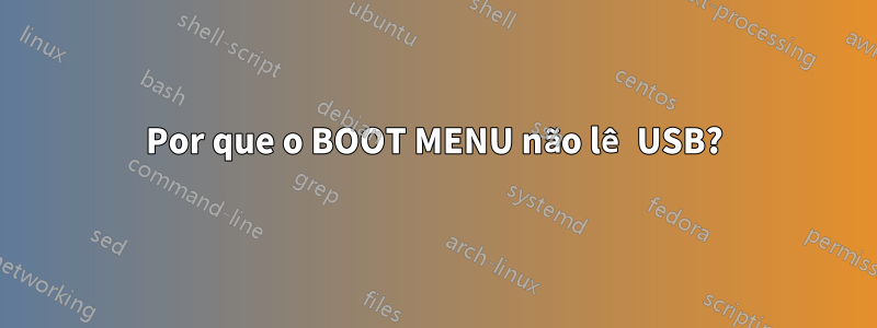 Por que o BOOT MENU não lê USB?