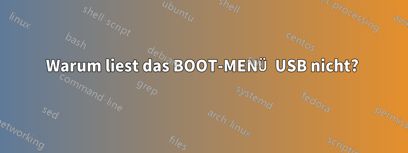 Warum liest das BOOT-MENÜ USB nicht?