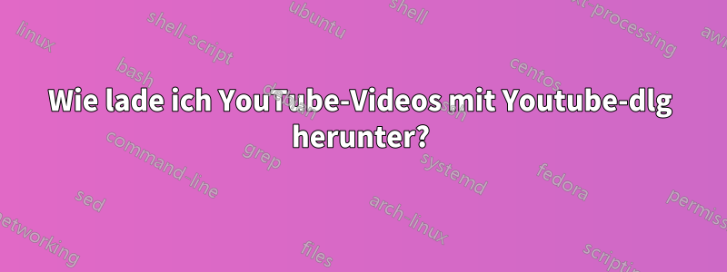 Wie lade ich YouTube-Videos mit Youtube-dlg herunter?