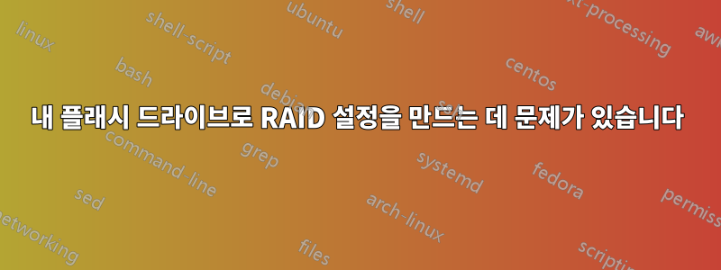 내 플래시 드라이브로 RAID 설정을 만드는 데 문제가 있습니다