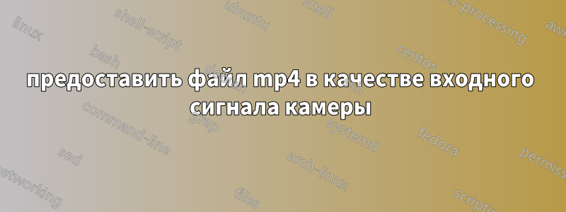 предоставить файл mp4 в качестве входного сигнала камеры