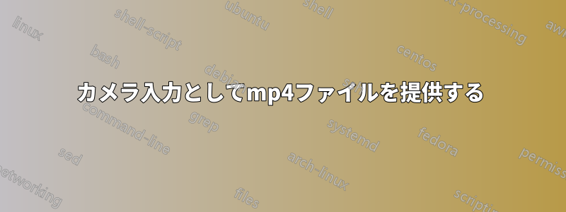 カメラ入力としてmp4ファイルを提供する