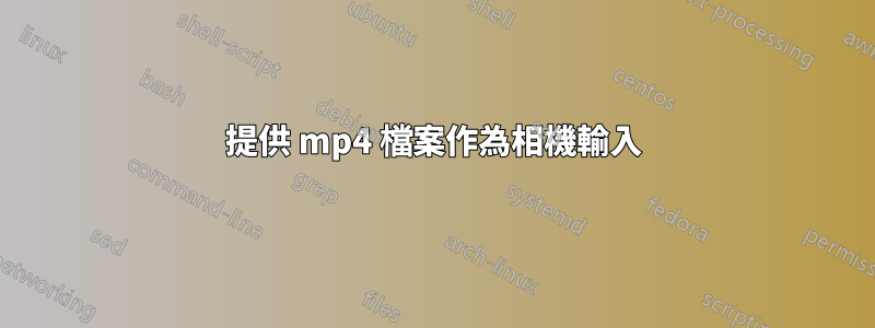 提供 mp4 檔案作為相機輸入