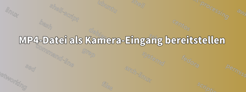 MP4-Datei als Kamera-Eingang bereitstellen