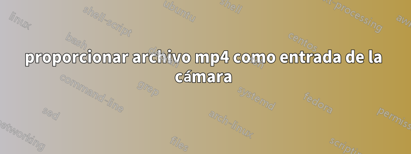 proporcionar archivo mp4 como entrada de la cámara