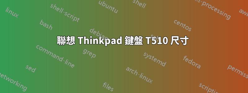 聯想 Thinkpad 鍵盤 T510 尺寸