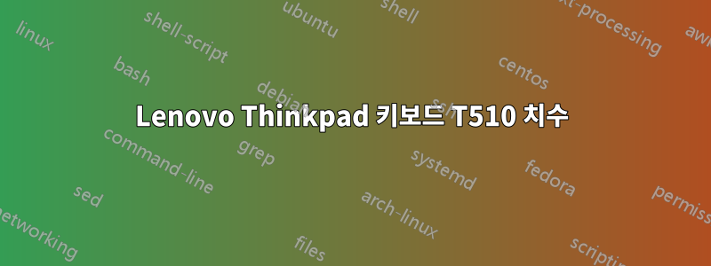 Lenovo Thinkpad 키보드 T510 치수