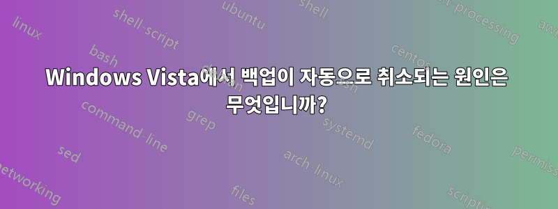 Windows Vista에서 백업이 자동으로 취소되는 원인은 무엇입니까?