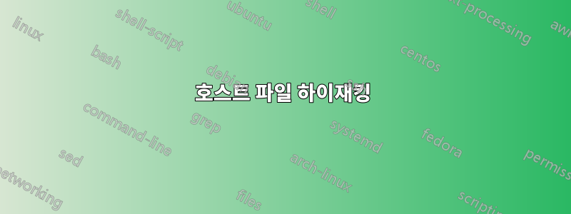 호스트 파일 하이재킹