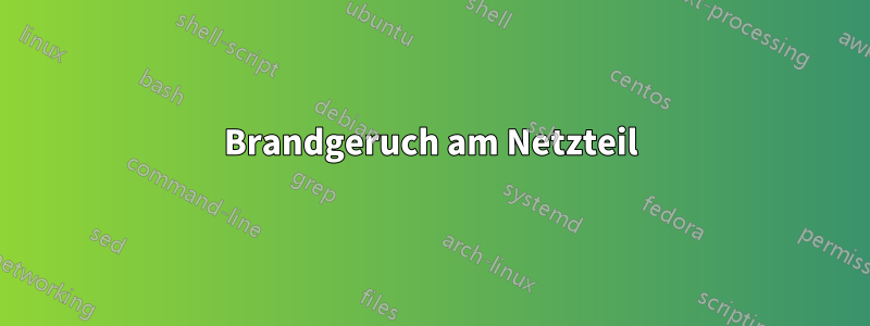 Brandgeruch am Netzteil