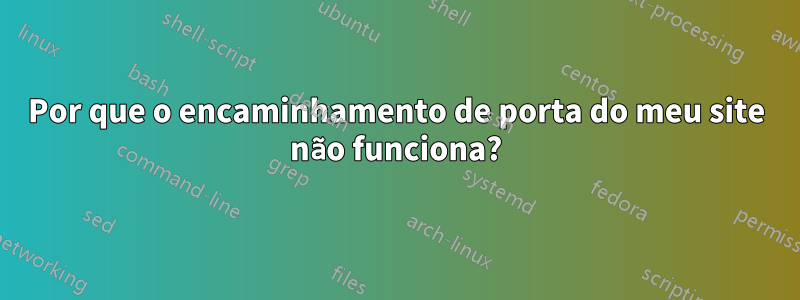 Por que o encaminhamento de porta do meu site não funciona?