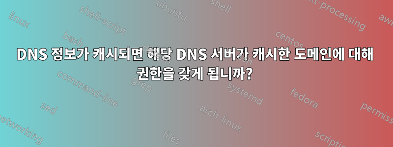 DNS 정보가 캐시되면 해당 DNS 서버가 캐시한 도메인에 대해 권한을 갖게 됩니까?