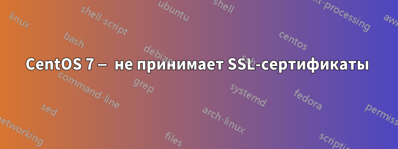 CentOS 7 — не принимает SSL-сертификаты