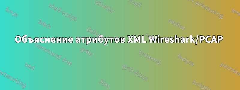 Объяснение атрибутов XML Wireshark/PCAP